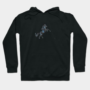 Night Horse Hoodie